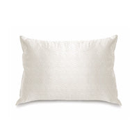 Silk Toddler Pillow